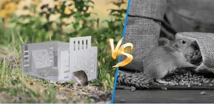 Iron content zinc Automatic Mousetrap