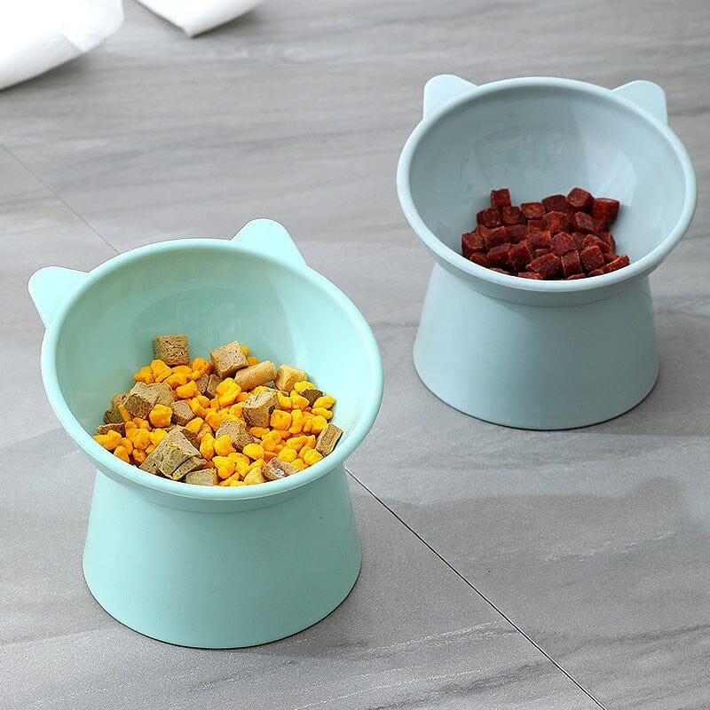 BUY 1 GET 1 FREE 💥Ergonomic Cat Bowl