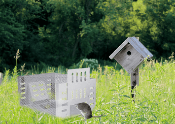 Iron content zinc Automatic Mousetrap