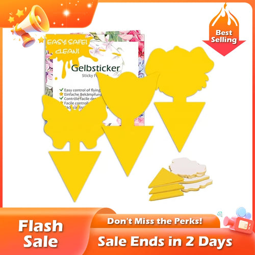 🏆Flash Sale⚡ 50K+ sold! Sold out soon!-💥Yellow Insect Traps – Pest Control for Plants Without Chemicals