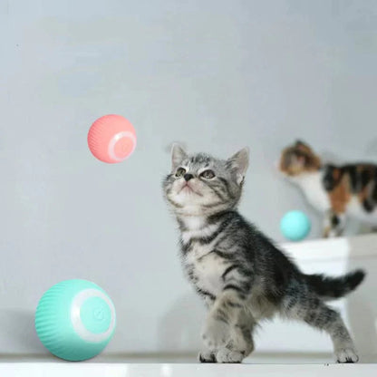 🐈Smart Interactive Peppy Pet Ball