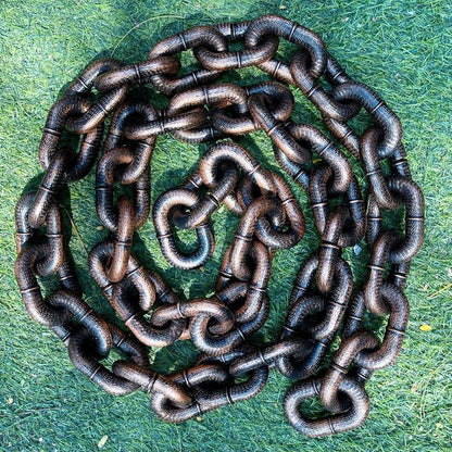 🔥Funny  Dog Chain🐾