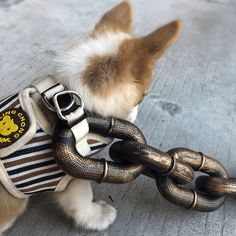 🔥Funny  Dog Chain🐾