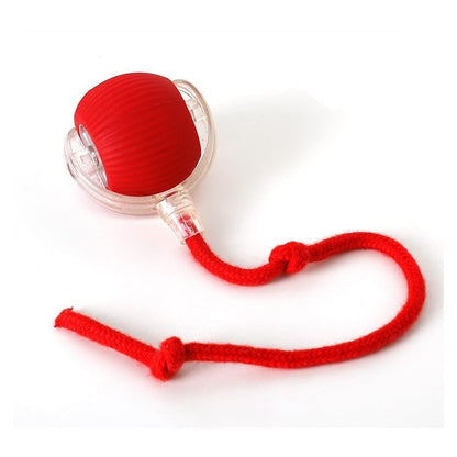 indoor  cat interactive cat toy ball