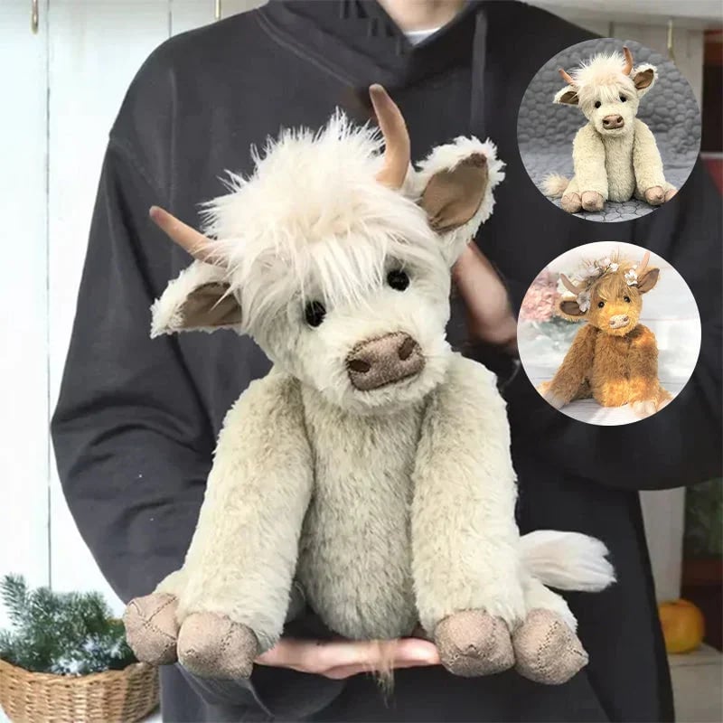 Highland Cow