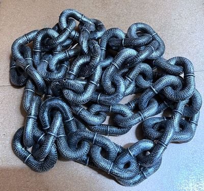 🔥Funny  Dog Chain🐾