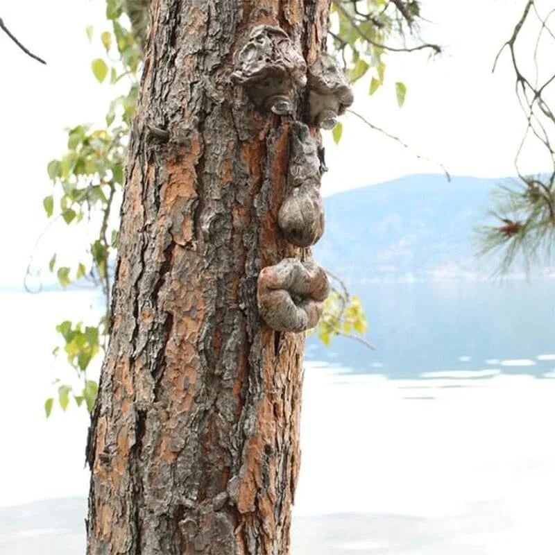 Outdoor Tree Face Decoration