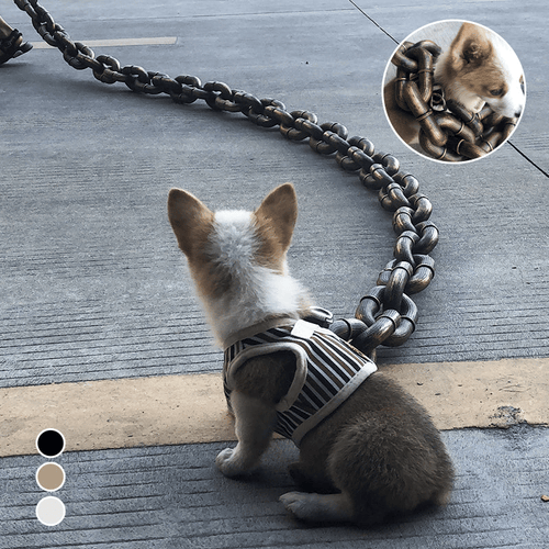 🔥Funny  Dog Chain🐾