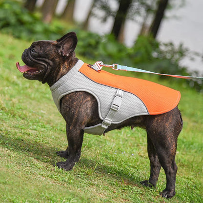🔥 Ice Cooling Dog Protective Vest