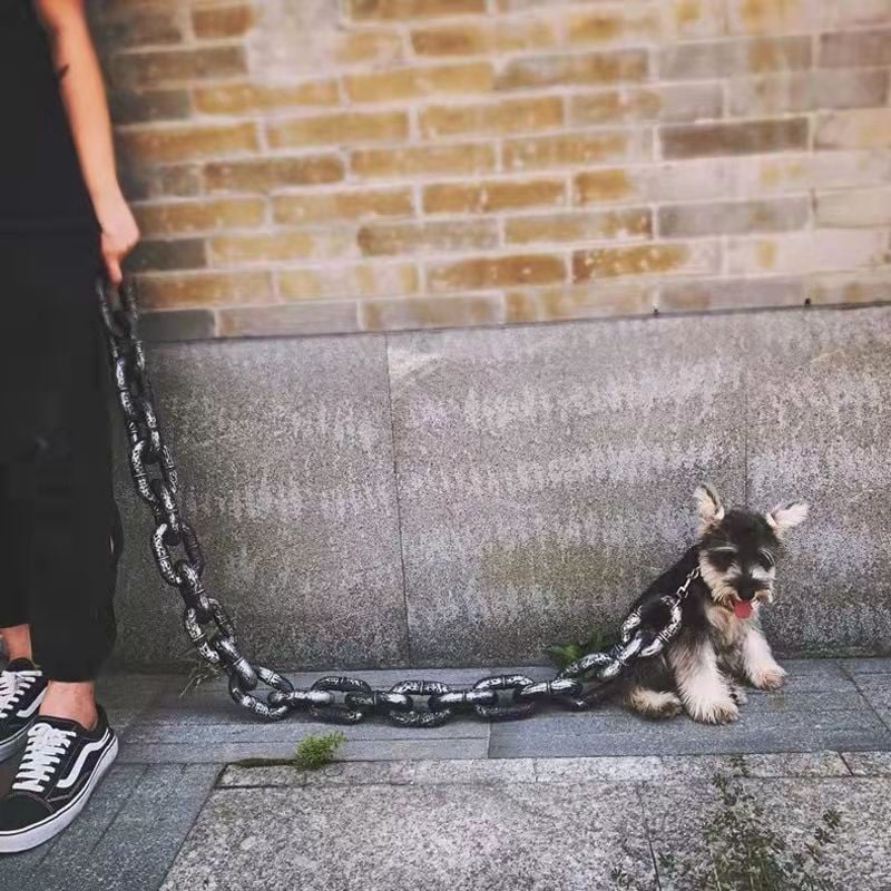 🔥Funny  Dog Chain🐾