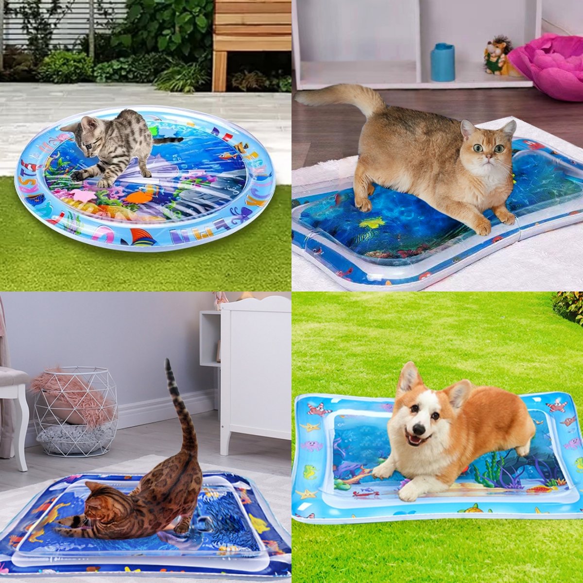 🔥Summer Hot Sale-48% Off😻Pet Water Sensory Mat🎉Buy 2 Free Shipping