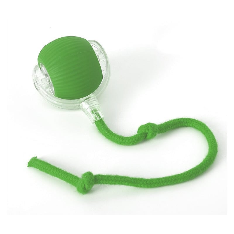 indoor  cat interactive cat toy ball